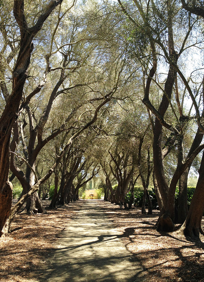 The botanical gardens of Lotusland in Montecito.C Social Front